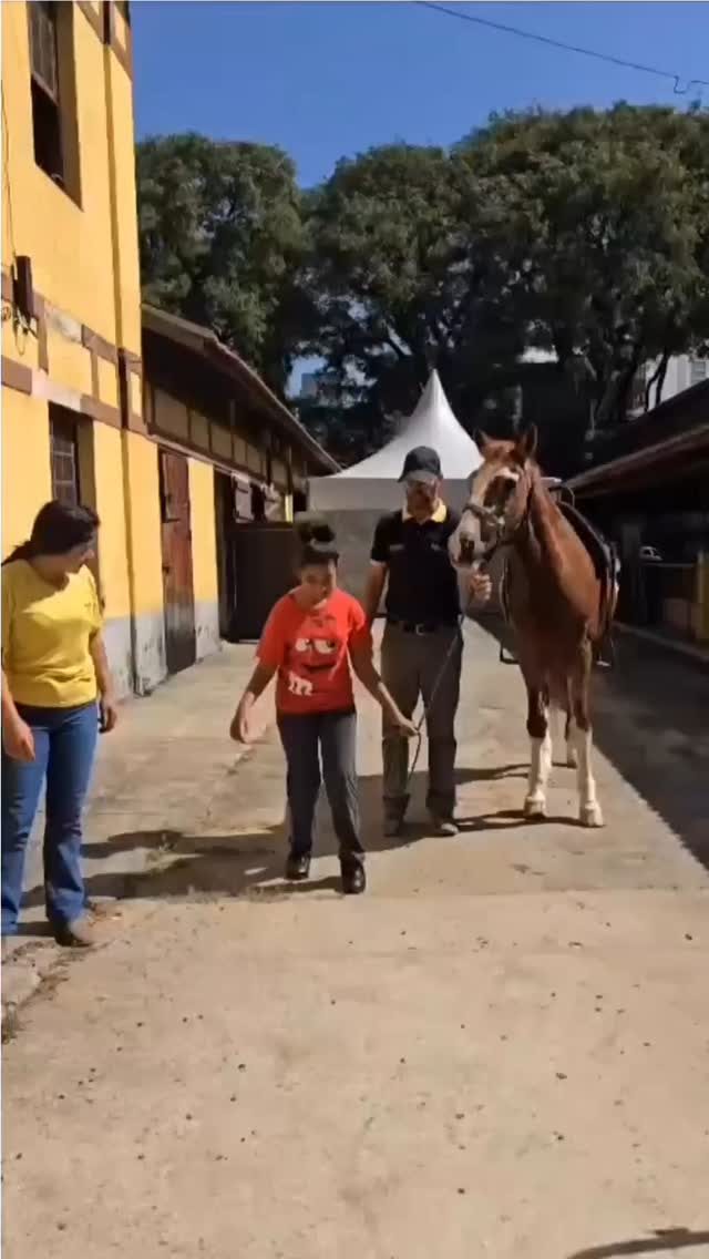 Instagram post from equotexasranch. This post is in position 9.