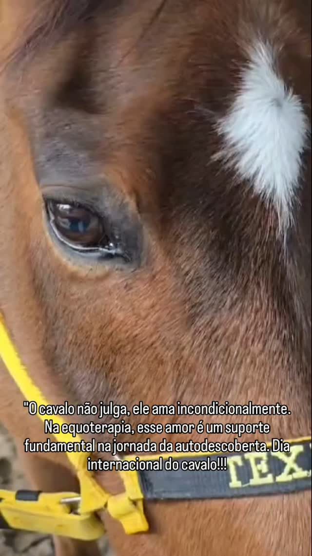 Instagram post from equotexasranch. This post is in position 15.